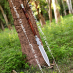 Handmade Viking Spear: 1095 Carbon Steel Blade, Rosewood Handle, Leather Sheath - Image 3